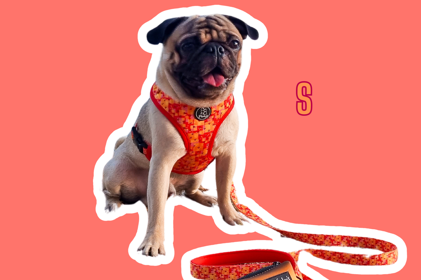 Dog Adjustable Harness || Marmalade Magic