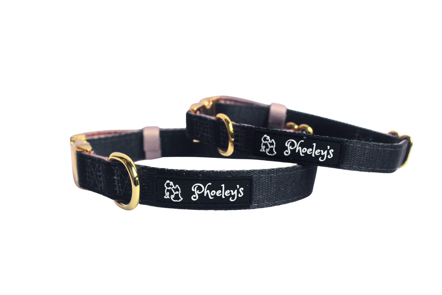 Dog Adjustable Harness Bundle || Sun and The Stars