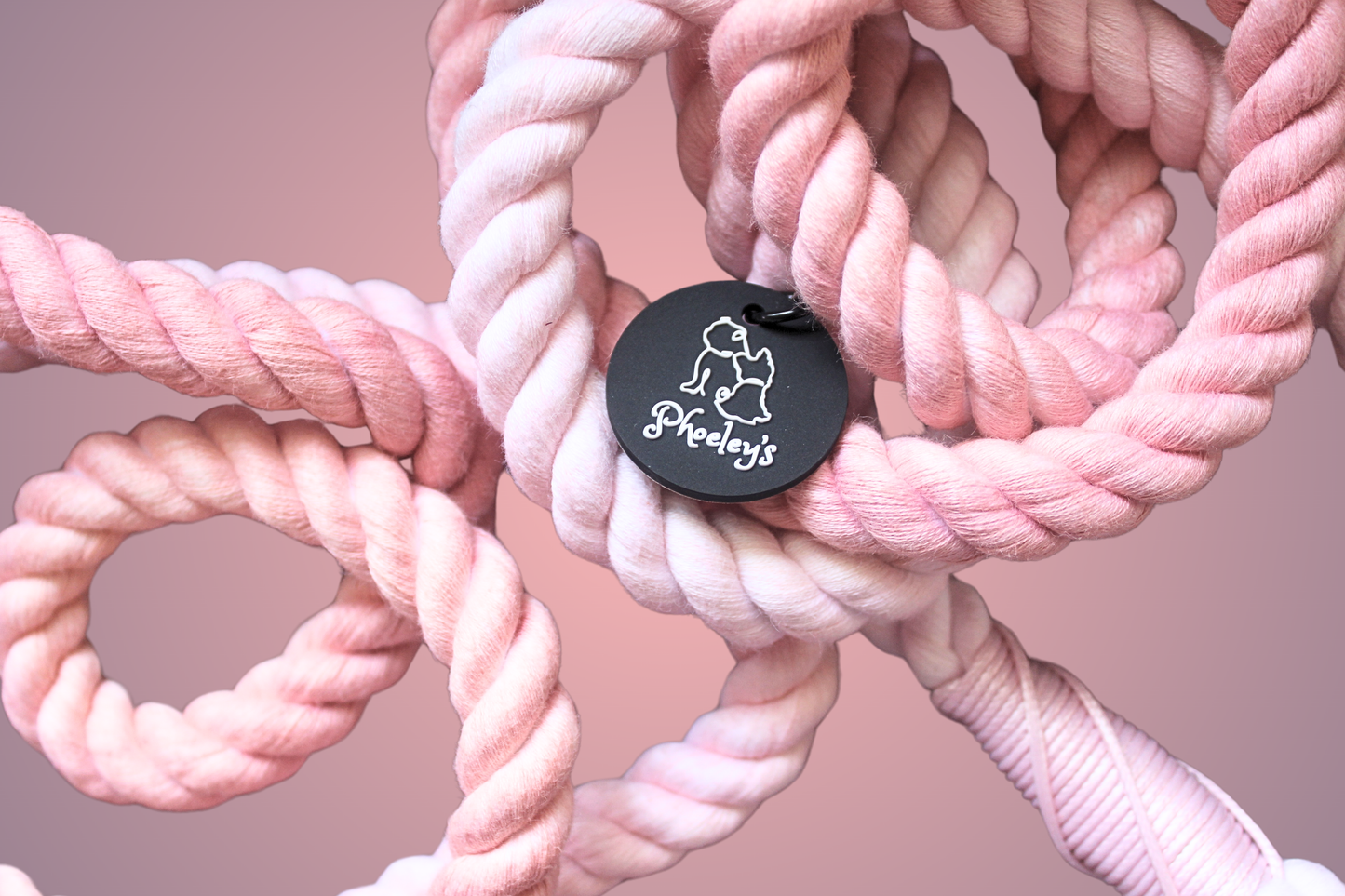 Dog Reversible Harness Bundle || Love Bunny