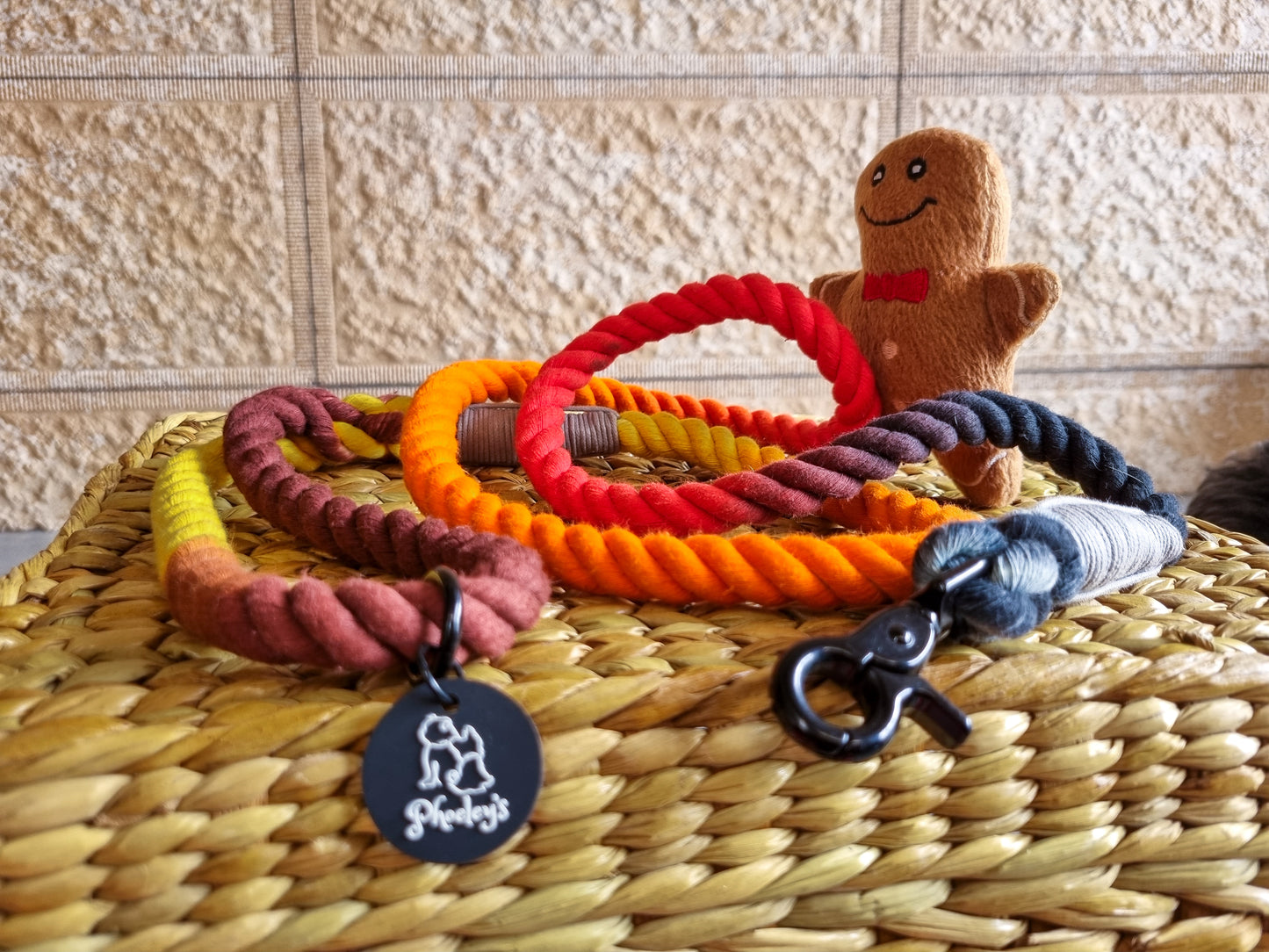 Eventide Rope Leash