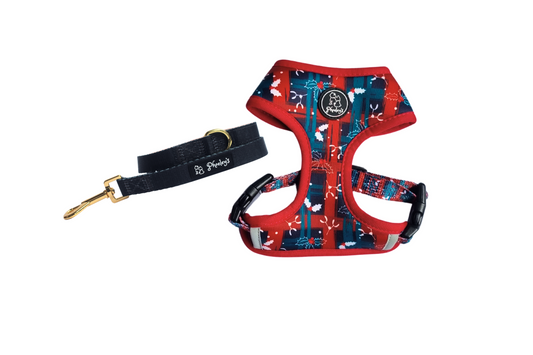 Dog Reversible Harness Bundle || Life Of The Pawty