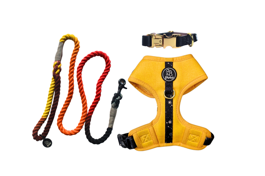 Dog Adjustable Harness Bundle || Sun and The Stars