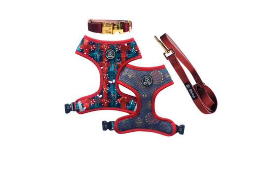 Dog Reversible Harness Bundle || Life Of The Pawty - Red Edition