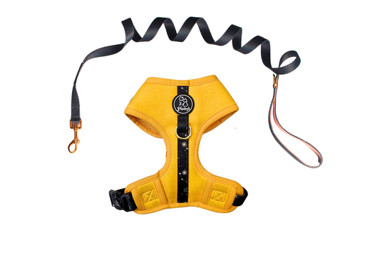 Dog Adjustable Harness Bundle || Sun and The Stars