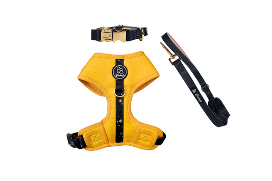 Dog Adjustable Harness Bundle || Sun and The Stars