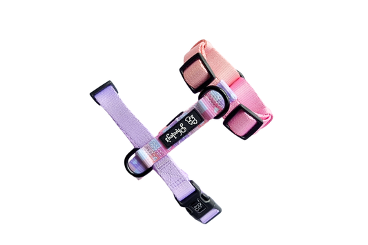Dog H-Harness || Heart-Throbber