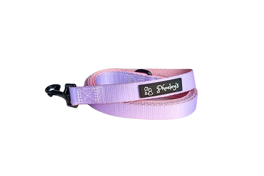 Dog Solid Leash || Heart-Throbber
