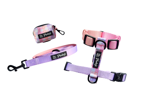 Dog H-Harness Bundle || Heart-Throbber